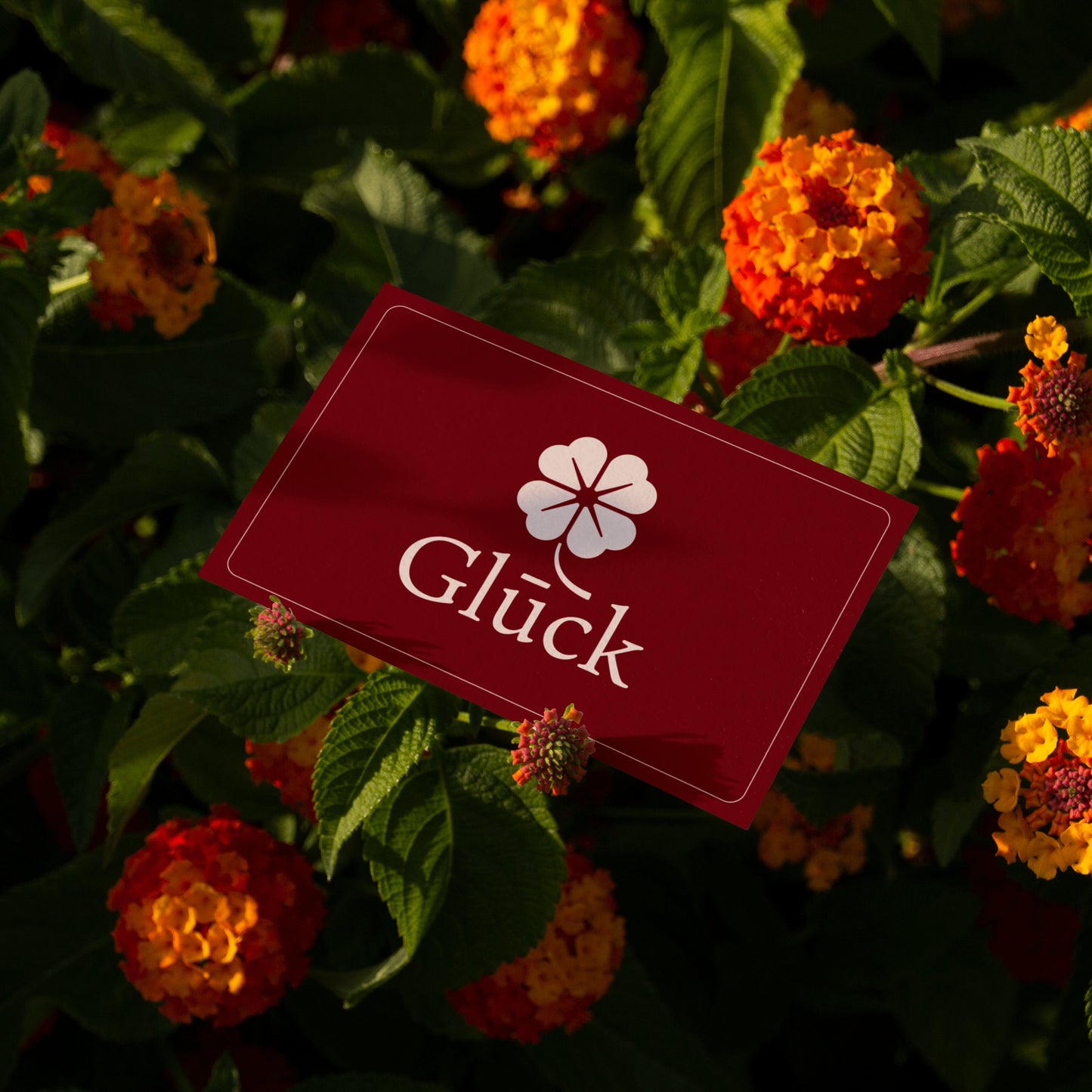 Glūck – Date Nights